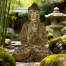 62cm Holzbuddha Buddha Holz Handarbeit Betender Vitarka Mudra