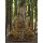 63cm Holzbuddha Buddha Holz Handarbeit Meditation Tibet Style