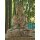 60cm Holzbuddha Buddha Holz Handarbeit Betender Vitarka Mudra
